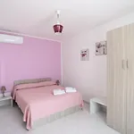 Saracinello Bed & Breakfast Praia a Mare